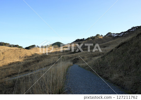 兵庫縣上川町砥峰高原的風景 127211762