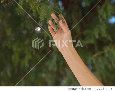 Young woman exploring Qasr Al Hosn Park in Abu Dhabi. Surrounded by lush greenery and historical landmarks, she enjoys the serene atmosphere and Emirati heritage in heart of city. 127212003