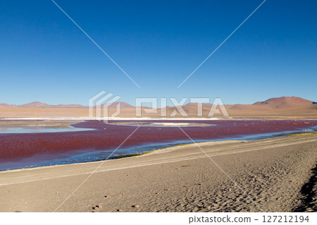 Laguna Colorada view, Bolivia 127212194
