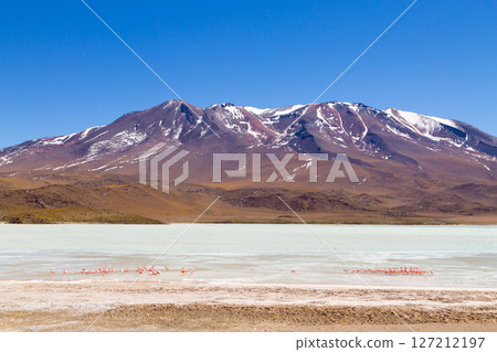 Laguna Hedionda view, Bolivia 127212197
