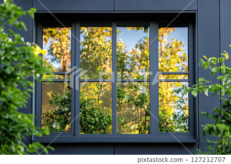 Reflection of green nature on a modern window with a dark frame Reflection of green nature on a modern window with a dark frame 127212707