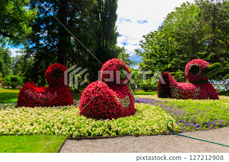 Ducks made of flowers on the island of flowers Mainau on Lake Constance, Germany Ducks made of flowers on the island of flowers Mainau on Lake Constance, Germany 127212908