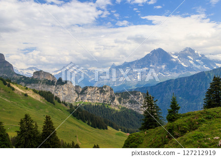 Panoramic view of snow-covered Swiss Alps and green flowering alpine meadow near Schynige Platte in Bernese Oberland, Switzerland Panoramic view of snow-covered Swiss Alps and green flowering alpine meadow near Schynige Platte in Bernese Oberland, Switzerland 127212919