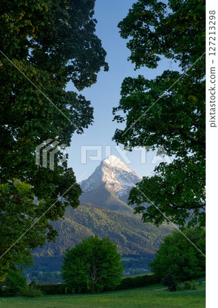 The Watzmann peak seen through trees 127213298