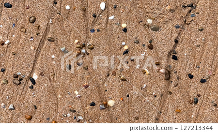 Colorful pebbles and shells on sandy beach surface Colorful pebbles and shells on sandy beach surface 127213344