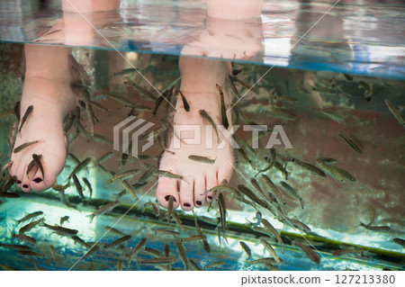 Female feet submerged in clear water surrounded by small fish Female feet submerged in clear water surrounded by small fish 127213380