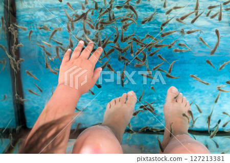 Garra rufa or red garra fish 127213381