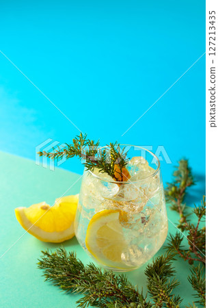 Gin and tonic cocktail with crushed ice and lemon slices. Gin and tonic cocktail with crushed ice and lemon slices. 127213435