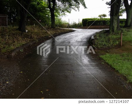 Small diameter after the rain Small diameter after the rain 127214107