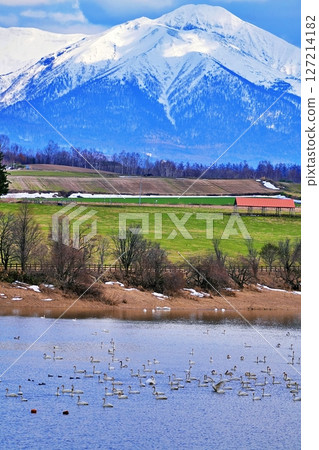 北海道美瑛的水澤水壩和十勝山脈的壯麗景色 127214182