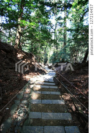 Cosmic energy pours down to protect the capital of Kyoto from evil spirits... Kurama Temple's "Okunoin Approach" 127214457