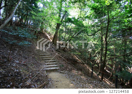 Cosmic energy pours down to protect the capital of Kyoto from evil spirits... Kurama Temple's "Okunoin Approach" 127214458