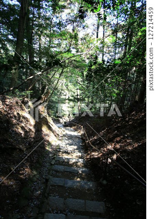Cosmic energy pours down to protect the capital of Kyoto from evil spirits... Kurama Temple's "Okunoin Approach" Cosmic energy pours down to protect the capital of Kyoto from evil spirits... Kurama Temple's "Okunoin Approach" 127214459