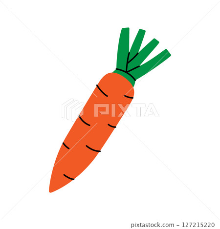 Carrot. Fresh organic vegetable. Vector illustration Carrot. Fresh organic vegetable. Vector illustration 127215220
