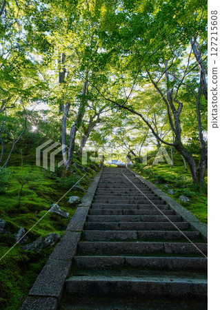 常寂光寺院內風景 常寂光寺院內風景 127215608