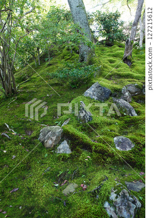 Scenery of the precincts of Jojakkoji Temple Scenery of the precincts of Jojakkoji Temple 127215612