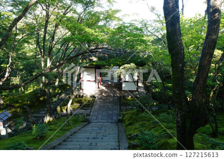 Scenery of the precincts of Jojakkoji Temple 127215613