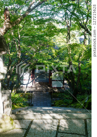 常寂光寺院內風景 常寂光寺院內風景 127215628