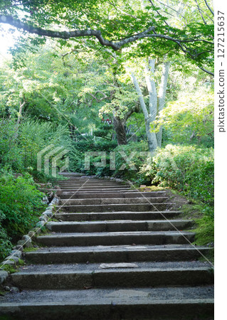 Scenery of the precincts of Jojakkoji Temple 127215637