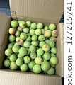青梅收穫 127215741