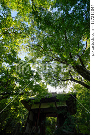 Scenery of the precincts of Jojakkoji Temple Scenery of the precincts of Jojakkoji Temple 127215844