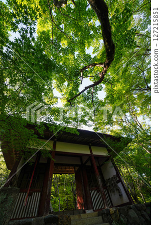 常寂光寺院內風景 127215851