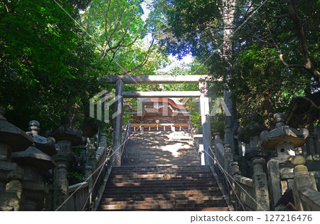 The last stone steps to the main hall of Kotohira Shrine in Kagawa Prefecture - 1 127216476
