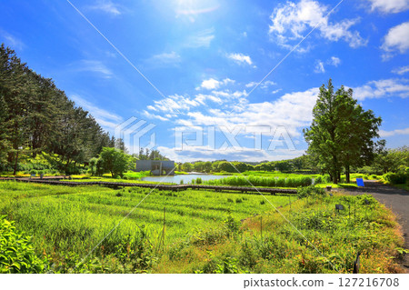 Domon Ken Memorial Museum and Iimoriyama Park 127216708
