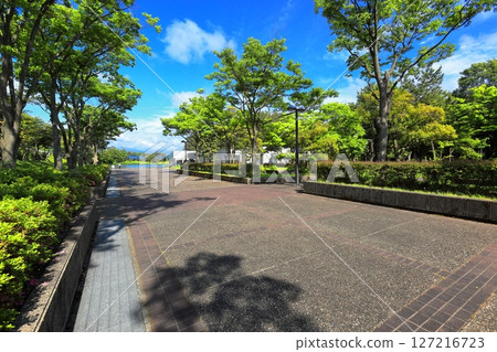 Domon Ken Memorial Museum and Iimoriyama Park 127216723