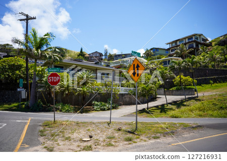 Hawaii: Landscape of a residential area with palm trees Hawaii: Landscape of a residential area with palm trees 127216931
