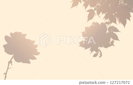 Background material of rose shadows | Natural design with soft light and silhouette Background material of rose shadows | Natural design with soft light and silhouette 127217072