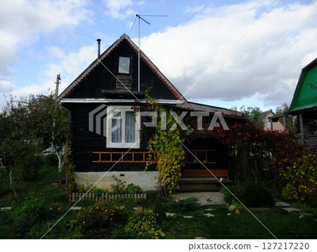 A quaint black wooden house with a red roof showcases vibrant green vines climbing its walls. Located in a peaceful rural area, the sky is partly cloudy, enhancing the tranquil atmosphere. 127217220