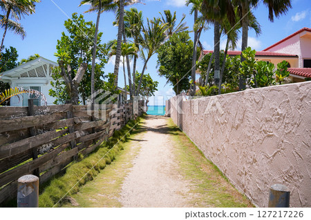 Path leading to Lanikai Beach, Hawaii Path leading to Lanikai Beach, Hawaii 127217226