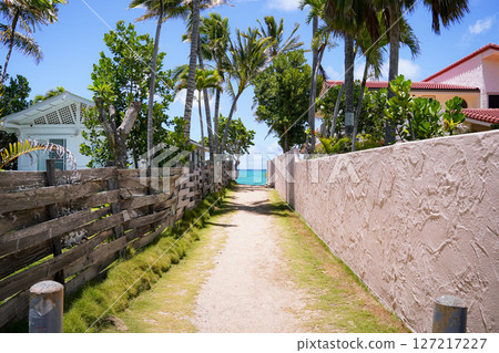 通往夏威夷拉尼凱海灘的小路 127217227