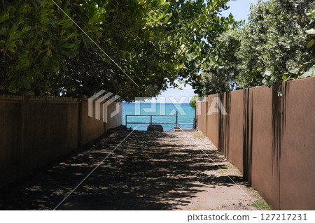 Path leading to Lanikai Beach, Hawaii Path leading to Lanikai Beach, Hawaii 127217231