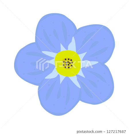 Single forget-me-not flower, blue bud Single forget-me-not flower, blue bud 127217687
