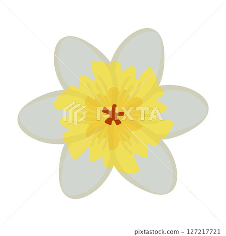 Single jasmine flower, colorful illustration Single jasmine flower, colorful illustration 127217721