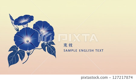 深藍色牽牛花和柔和的奶油色背景 127217874