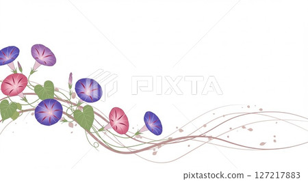 白色背景上流暢的線條和色彩繽紛的牽牛花 白色背景上流暢的線條和色彩繽紛的牽牛花 127217883