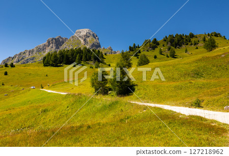 Dirt road lies among green grass meadows and wooded areas near Goma mountain pass, Dolomites. 127218962
