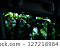 Raindrops on the train window reflecting green leaves and quiet time 127218984