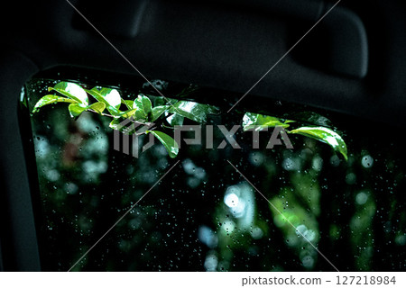 Raindrops on the train window reflecting green leaves and quiet time 127218984