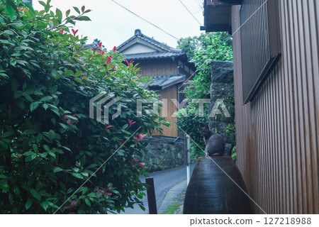 雨後小巷裡一隻黑貓坐在罐子上，還有日式街景 127218988