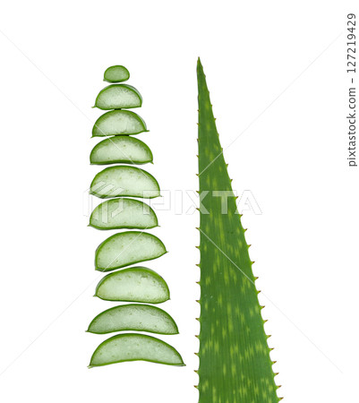 Aloe Vera Slices and Leaf Arrangement on White Background 127219429