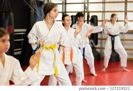 group of children engaged in karate 127219521
