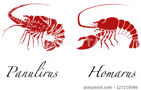刺龍蝦和龍蝦 刺龍蝦和龍蝦 127219566