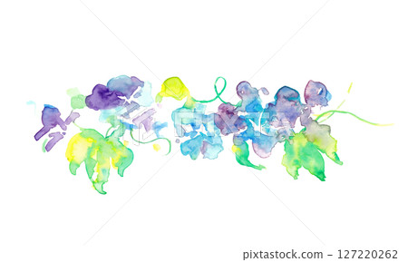 Watercolor illustration of morning glory. Vector illustration of morning glory painted with watercolors. Summer morning glory background in Japanese style. Watercolor illustration of morning glory. Vector illustration of morning glory painted with watercolors. Summer morning glory background in Japanese style. 127220262
