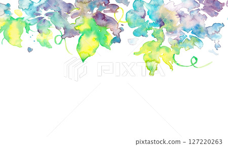 Watercolor illustration of morning glory. Vector illustration of morning glory painted with watercolors. Summer morning glory background in Japanese style. Watercolor illustration of morning glory. Vector illustration of morning glory painted with watercolors. Summer morning glory background in Japanese style. 127220263
