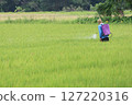 Farmer Spraying Pesticide in Green Rice Field 127220316