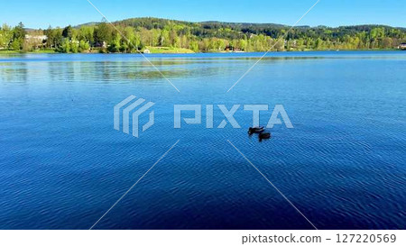 Captivating video of a serene lake, lush trees, and mountains Captivating video of a serene lake, lush trees, and mountains 127220569